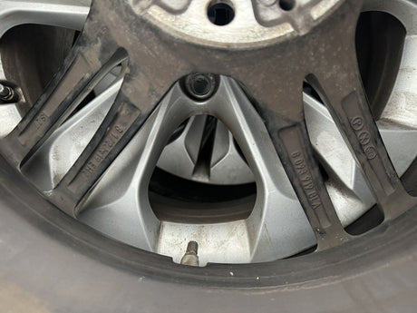 Image #7